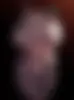 Popo