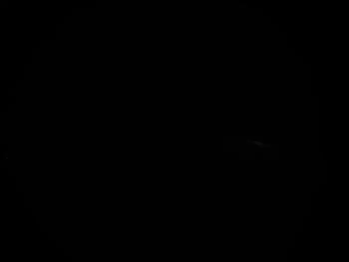 스케이터