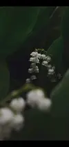 에덴